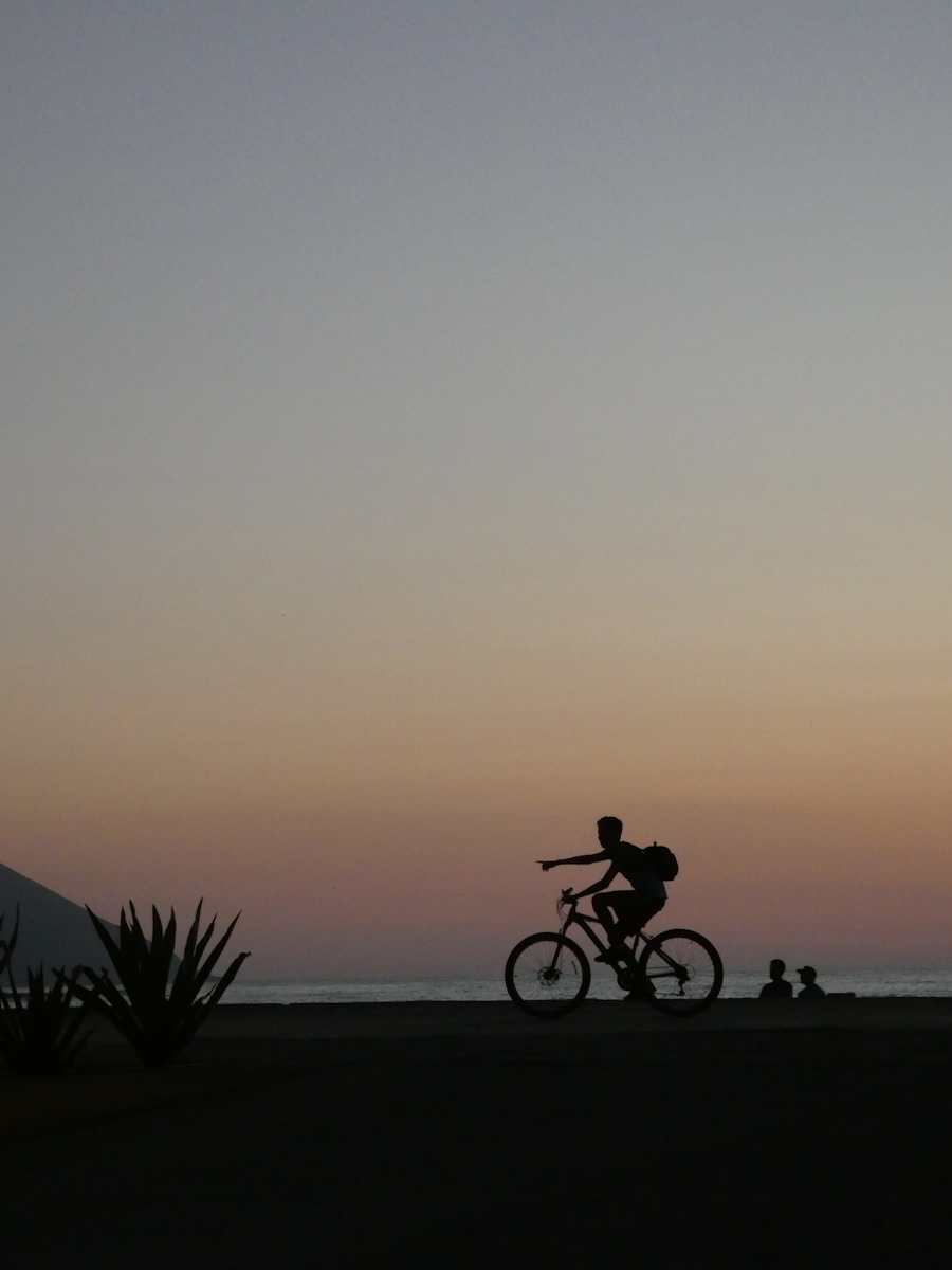 Man Riding Bike Near Two People At The Beach During Golden Hour
